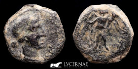 Julius Caesar Bronze Semis 5,82 g, 19 mm. Corduba 44-45 B.C. Good very fine (MBC)