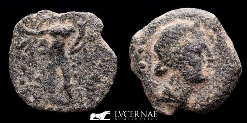 Roman Republic - Hispania. Corduba, bronze semis (2,31 g, 18 mm), minted between...