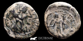 Julius Caesar Bronze Semis 5,40 g, 20 mm. Corduba 44-45 B.C. Good very fine (MBC)