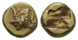 Ionia, Phokaia EL Hekte. (10mm, 2.8 g) Circa 480 BC. Forepart of man-headed bull left, collar with row of pearls; behind, seal swimming upward / Irreg...