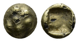 Ionia. Uncertain mint circa 600-550 BC. 1/24 Stater EL (6mm, 0.5 g) Lion's paw (?) / Rough incuse square.