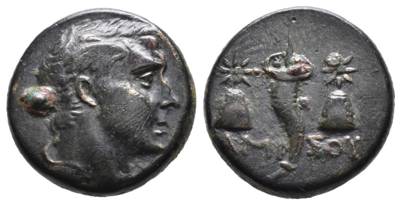 Bronze AE
Pontos Amisos, c. 85-65 BC
16 mm, 4,30