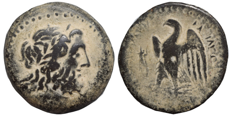 Hemiobol AE
Egypt, Ptolemy II Philadelphos (285-246), Laureate head of Zeus Amm...