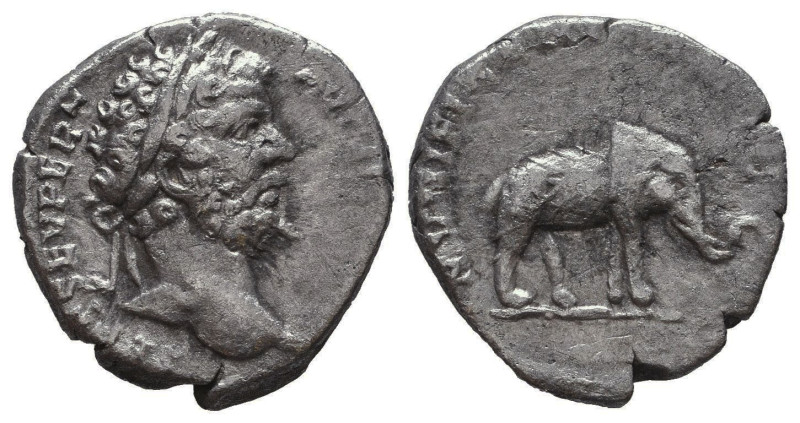 Denarius AR
Septimus Sever, Elefant
17 mm, 2,51 g