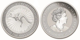 1 Oz AR
1 Dollar, Australia, 2023
31,10 g