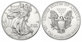 1 OZ AR
USA, Walking Liberty / Eagle, 2013
40 mm, 31,10 g