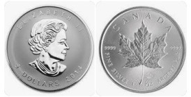1 OZ AR
Canada Maple Leaf 2014
31,10 g