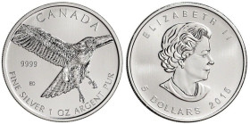 1 OZ AR
5 Dollars, Canada, Red-Tailed Hawk, 2015
31,10 g