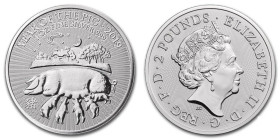1 Oz AR
United Kingdom, 2 Pounds, Year of the Pig, 2019
31,10 g