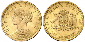 20 Peso AV
Chile, 1976, Gold 900/1000
18 mm, 4,06 g
KM# 188