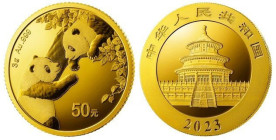 3 g AV, Panda, China 2022