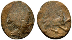 Central Italy, Uncertain (Minturno area), mid-late 1st century BC. Æ (16mm, 5.94g, 12h). Wreathed head of young Dionysus r. R/ Panther standing r., he...