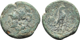 Northern Campania, Cales, c. 265-240 BC. Æ (20.5mm, 5.29g, 2h). Helmeted head of Athena l. R/ Cock standing r.; star to l. Sambon 916; HNItaly 435; SN...