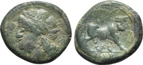 Northern Campania, Cales, c. 265-240 BC. Æ (22mm, 6.27g, 6h). Laureate head of Apollo l.; serpent behind. R/ Man-headed bull standing r., head facing;...