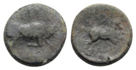 Northern Apulia, Arpi, c. 275-250 BC. Æ (19mm, 8.14g, 10h). Poullos, magistrate. Bull charging r. R/ Horse galloping r. HNItaly 645; SNG ANS 640-3. Fi...