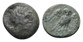 Northern Lucania, Velia, 4th-2nd centuries BC. Æ (12.5mm, 2.05g, 11h). Laureate head of Zeus r. R/ Owl standing facing, wings spread. HNItaly 1326; SN...