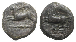 Sicily, "Kainon", c. 360-340 BC. Æ (23mm, 8.36g, 6h). Griffin springing l. R/ Horse prancing l., trailing rein. Campana 1; CNS I, 1; SNG ANS 1169-74 (...