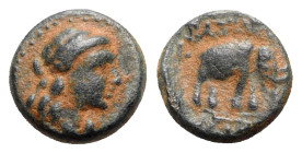 Seleucid kings, Antiochos III (222-187). Æ (14mm, 3.24g, 12h). Uncertain mint. Laureate head of Apollo r. R/ Elephant r. Cf. HGC 9, 523. Near VF