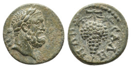LYDIA. Sala. Pseudo-autonomous issue (2nd-3rd centuries.) AE 1/3 Assarion
Obv: Laureate head of bearded Herakles to right.
Rev: CAΛΗ-ΝΩΝ
Grape bunc...