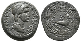 KINGS OF COMMAGENE. Antiochos IV, 38-72 AD. AE.
Obv: ΒΑΣΙ ΜΕΓ ΑΝΤΙΟΧΟΣ ΕΠΙ. Diademed and draped bust of Antiochos IV, right.
Rev: ΚΟΜΜΑΓΗΝΩΝ. Capricor...