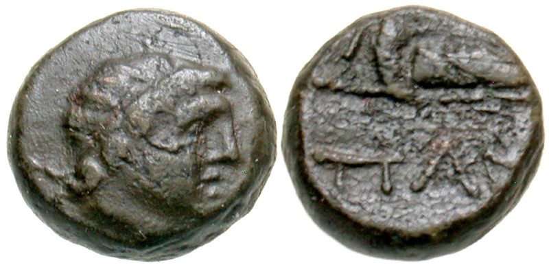 "Tauric Chersonesos, Pantikapaion. Ca. 200-150 B.C. AE 11 (10.7 mm, 2.01 g, 3 h)...