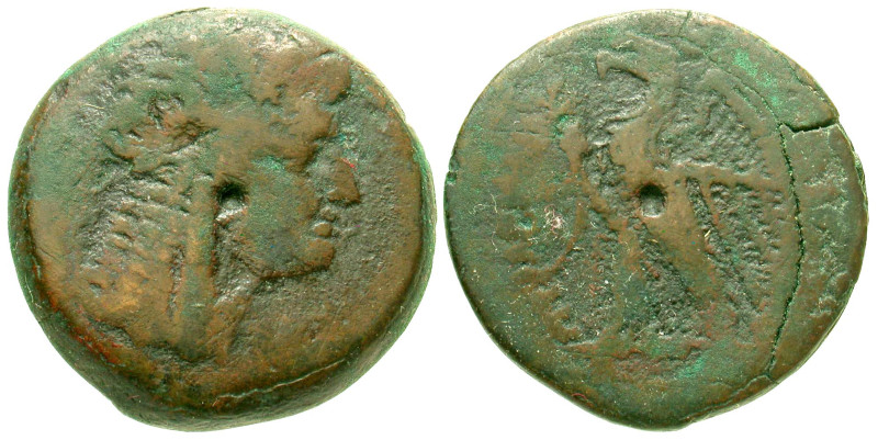 "Ptolemaic Kingdom. Ptolemy VI-VIII. Circa 180-116 BC. AE 27 (27.1 mm, 15.71 g, ...