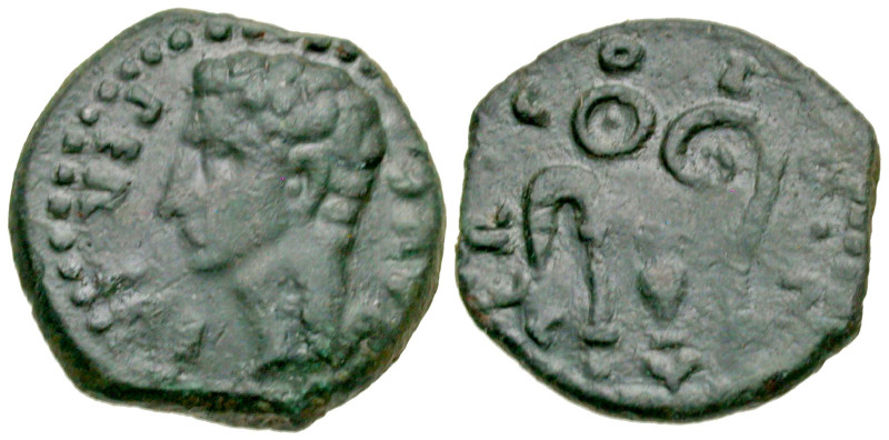 "Hispania, Colonia Patricia. Augustus. 27 B.C.-A.D. 14 AE quadrans (15.8 mm, 2.7...