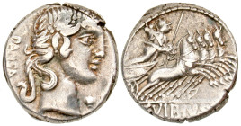 "C. Vibius C.f. Pansa. 90 B.C. AR denarius (17.4 mm, 3.82 g, 12 h). Rome mint. PANSA, laureate head of Apollo right; trident below chin / C·VIBIVS·C·F...