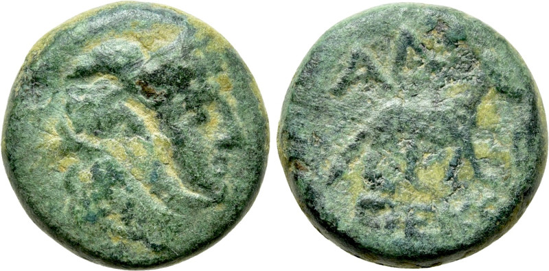 THRACE. Alopeconnesos. Ae (Circa 3th-2nd century BC). 

Obv: Laureate head of ...