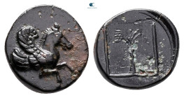 Troas. Skepsis  circa 400-200 BC. Bronze Æ
