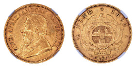 South Africa 1895, 1/2 Pond.

Graded AU 55 by NGC. 

.1176 oz.

KM- 9.2