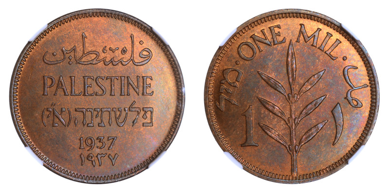 Palestine 1937, 1 Mil

Graded MS 65 RB by NGC. Highest graded coin at NGC. Key d...