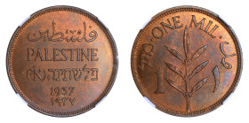 Palestine 1937, 1 Mil

Graded MS 65 RB by NGC. Highest graded coin at NGC. Key date, smooth and lustrous red/brown surfaces.

KM-1