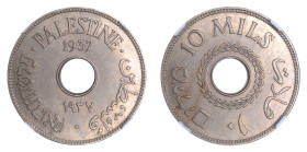 Palestine 1937, 10 Mils

Graded MS 64 by NGC. 

KM-4