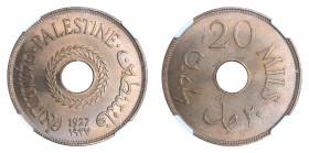 Palestine 1927, 20 Mils.

Graded MS 66 by NGC. Choice BU.

KM-5