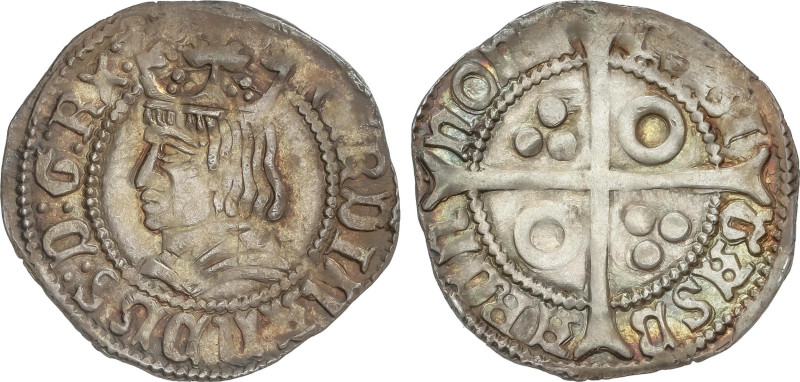 Medieval Coins
Croat. FERRAN II. BARCELONA. Anv.: FERDINANDUS; D:G:RX: Busto ad...