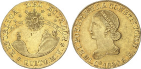 World Coins
8 Escudos. 1840. QUITO. M.V. 26,73 grs. AU. Restos de brillo original en reverso. MUY RARA y MÁS EN ESTA CALIDAD. Fr-3; KM-23.1; XC-1758....