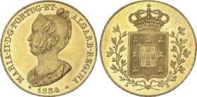 World Coins
Peça (6.400 Reis). 1834. MARIA II. 14,32 grs. AU. (Hojita en anverso). Brillo original. BELLA. Fr-141; KM-405. EBC-/EBC.