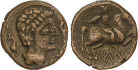 Celtiberian Coins
As. 220-200 a.C. ILTIRTA (LLEIDA). Anv.: Cabeza masculina rodeada por tres delfines a derecha. Rev.: Jinete con palma y clámide a d...