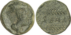 Celtiberian Coins
As. 120-50 a.C. SEARO (UTRERA, Sevilla). Anv.: Cabeza de Hércules con piel de león a derecha. Rev.: Dos espigas a derecha, entre am...