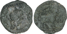 Celtiberian Coins
As. 14-36 d.C. ÉPOCA DE TIBERIO. TURIASO (TARAZONA, Zaragoza). Anv.: TI. CAESAR AVG. F. IMP. PONT. M. Cabeza laureada de Tiberio a ...