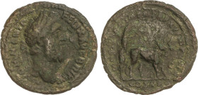 Roman Coins
As. 190 d.C. COMODO. Anv.: M COMM ANT P FELIX AVG BRIT P. Busto laureado a derecha. Rev.: COL L AN COM P M TR P XV IMP VIII, figura velad...