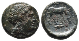 Bronze 4.47 16 mm Troas, Neandria Æ19. 4th C. BC. Laureate head of Apollo r. / Horse grazing r.; grain ear in exergue.