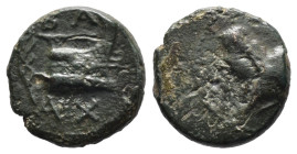 Bronze 1.70 gr 13 mm

KINGS of MACEDON. Demetrios I Poliorketes. 306-283 BC. Æ