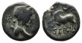 Bronze 3.61 gr 14 mm PISIDIEN. Termessos.