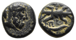 Bronze 3.71 gr 15 mm Pisidia, Bronzo, Selge, II-I sec. a.C., AE