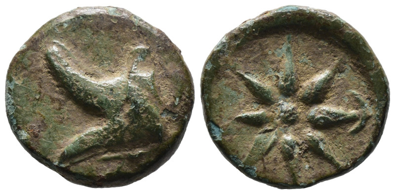 Bronze 5.60 gr 20 mm PONTOS.

Amisos. Ae (Circa 130-100 BC).

Obv: Bashlyk left....