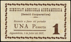 World Banknotes
1 Pesseta. 1 Juliol 1937. SINDICAT AGRICOLA AIGUAMURCIA. RARO. T-31a; RGH-6042. MBC+.