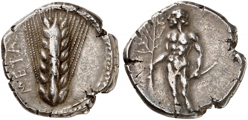 COINS OF THE GREEK WORLD. LUCANIA. Metapontion. Didrachm or Nomos c. 440-430 BC....