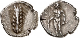 COINS OF THE GREEK WORLD. LUCANIA. Metapontion. Didrachm or Nomos c. 440-430 BC. ΜΕΤΑ Ear of barley. Rv. Apollo, nude, standing facing, head to left, ...